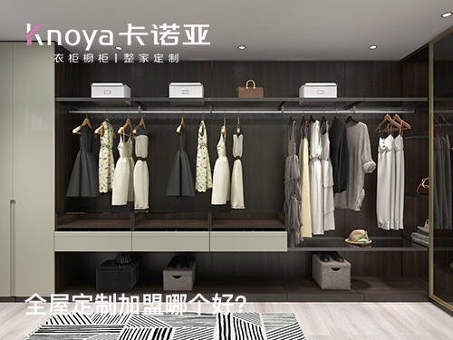 2024年櫥柜加盟哪個(gè)品牌好？加盟定制櫥柜需要多少錢(qián)？